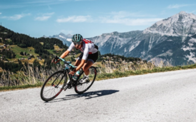 Race Safety & Management Tool