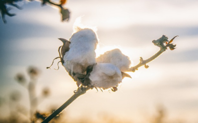 Improving traceability for the textile sector