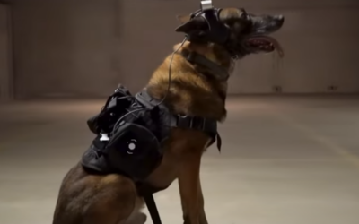 Smart canine unit: simultaneous localisation and mapping for real-time map creation